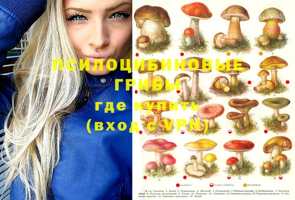 MDMA Premium VHQ Алзамай
