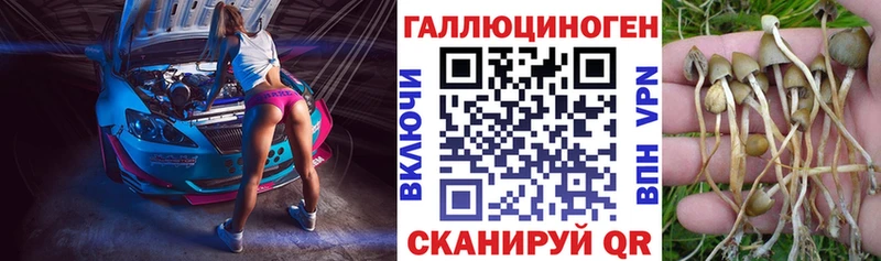 маркетплейс формула  Боготол  Галлюциногенные грибы MAGIC MUSHROOMS 